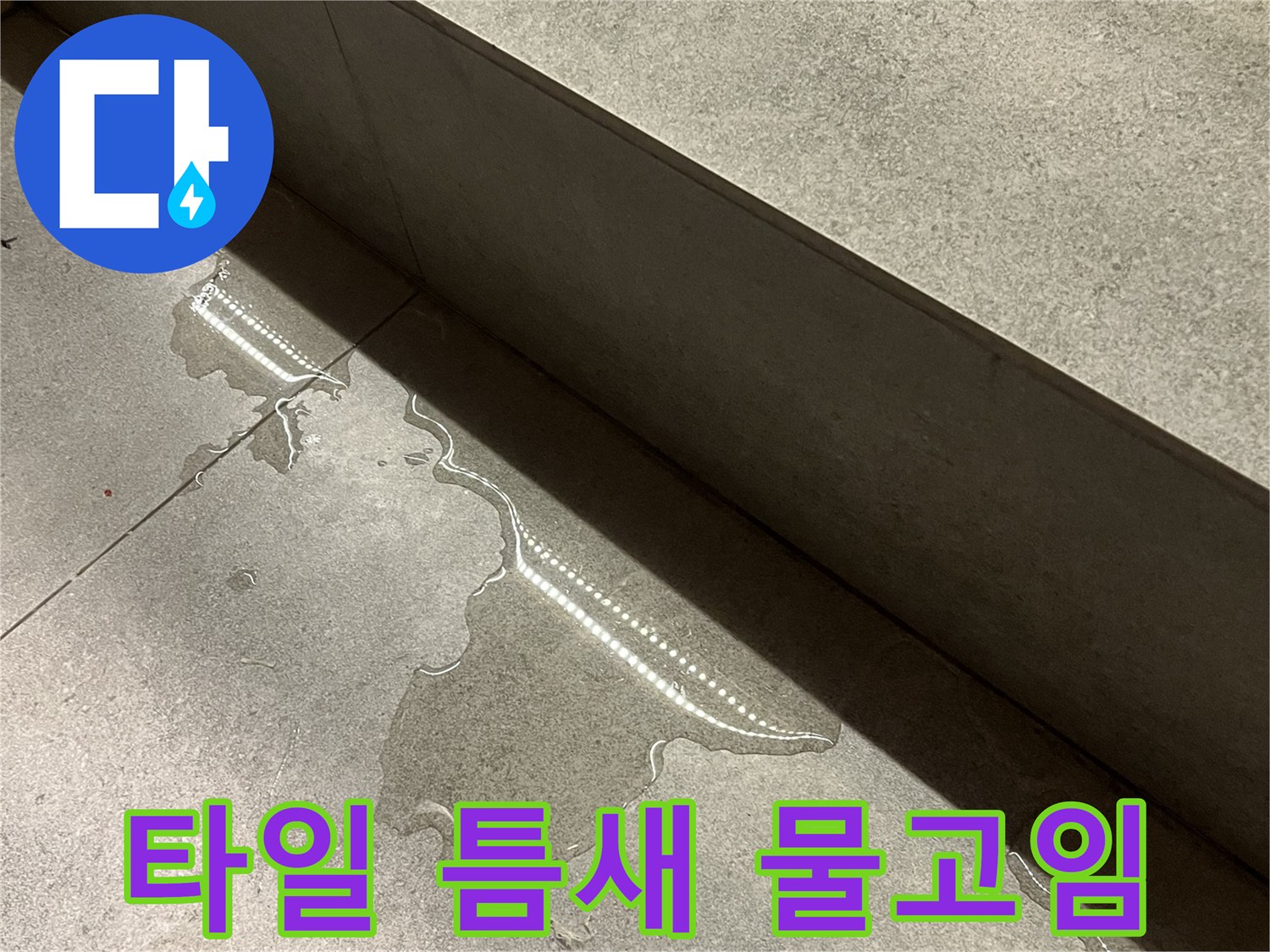 바닥-타일-사이로-스며나온-축축한-물기