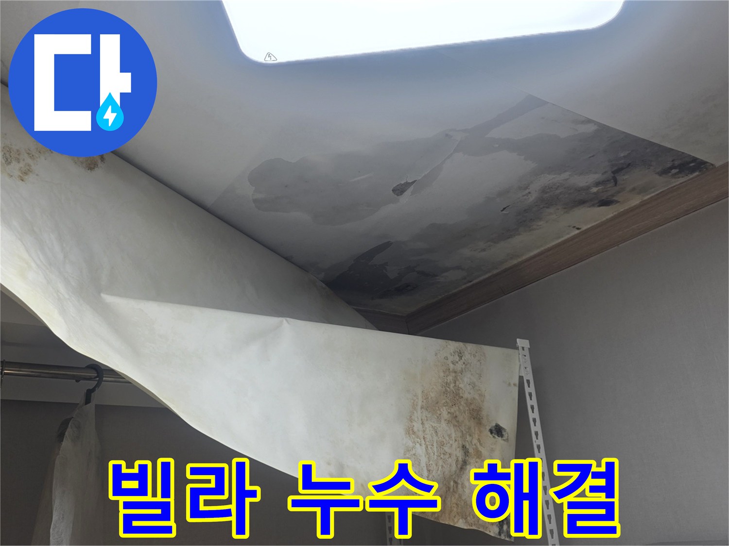 빌라 천장에서 물이 새서-벽지가 젖고-곰팡이가 발생한-현장을 해결 중입니다