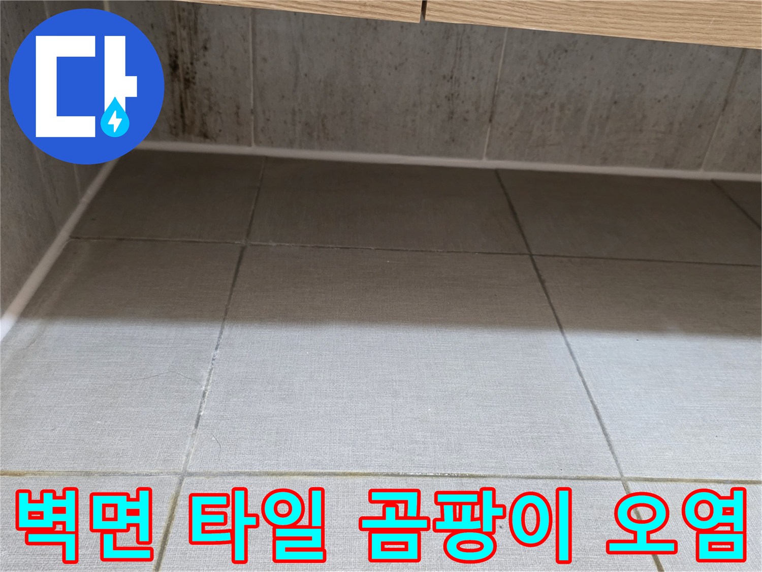 욕실-하단-타일-사이-곰팡이-흔적