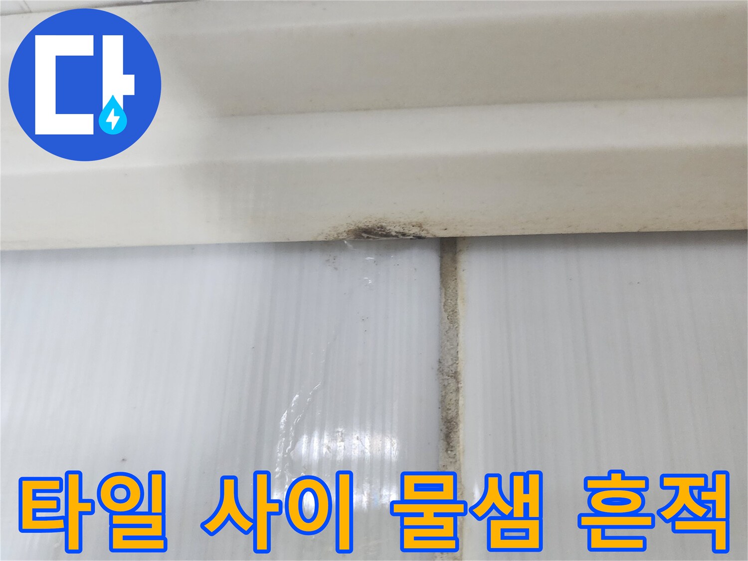 화장실-타일-틈새-물자국-확인