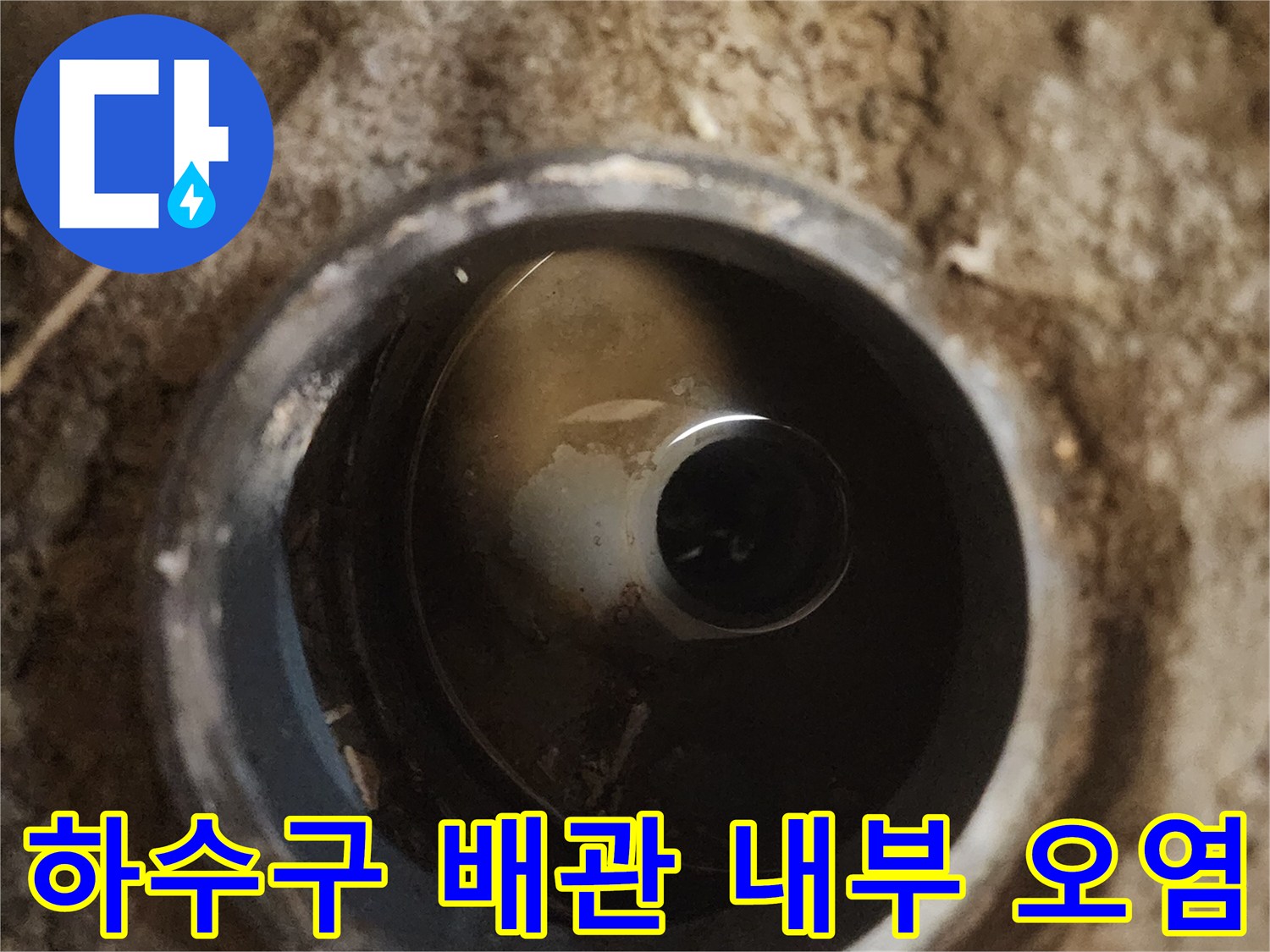 배수관-입구에-고여있는-오염된-물과-찌꺼기