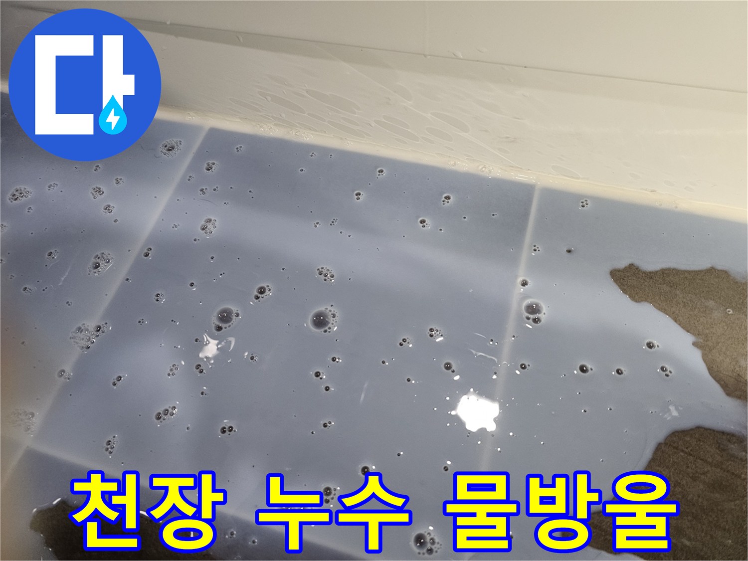 타일-틈새를-통해-맺혀있는-물방울