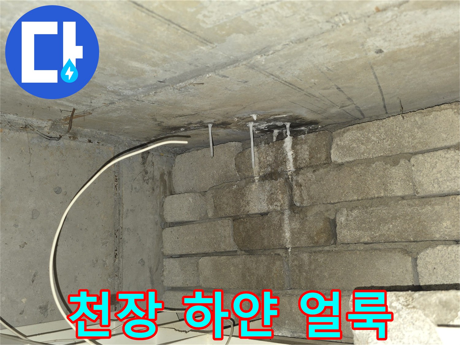 콘크리트 벽면-백화가 형성된 모습