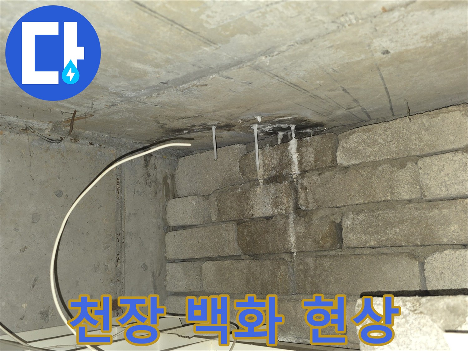 콘크리트-슬래브-백화-현상-사진
