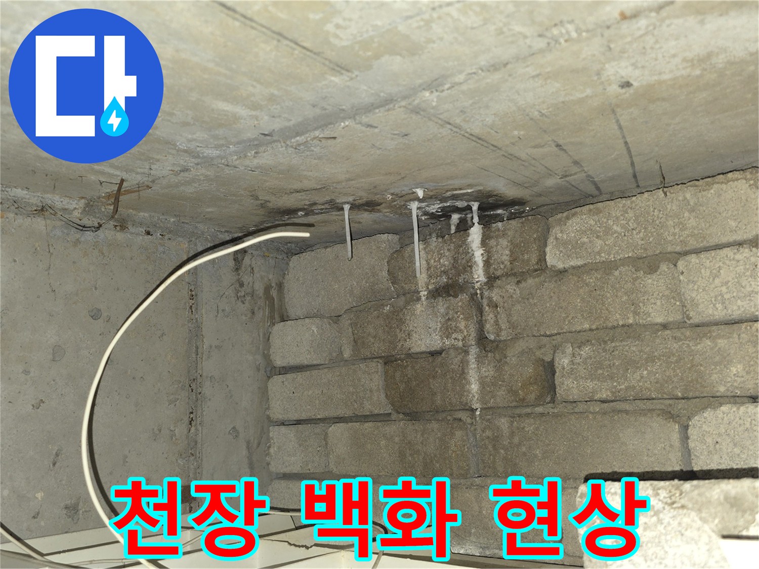 콘크리트-슬래브-백화현상-발생-부위
