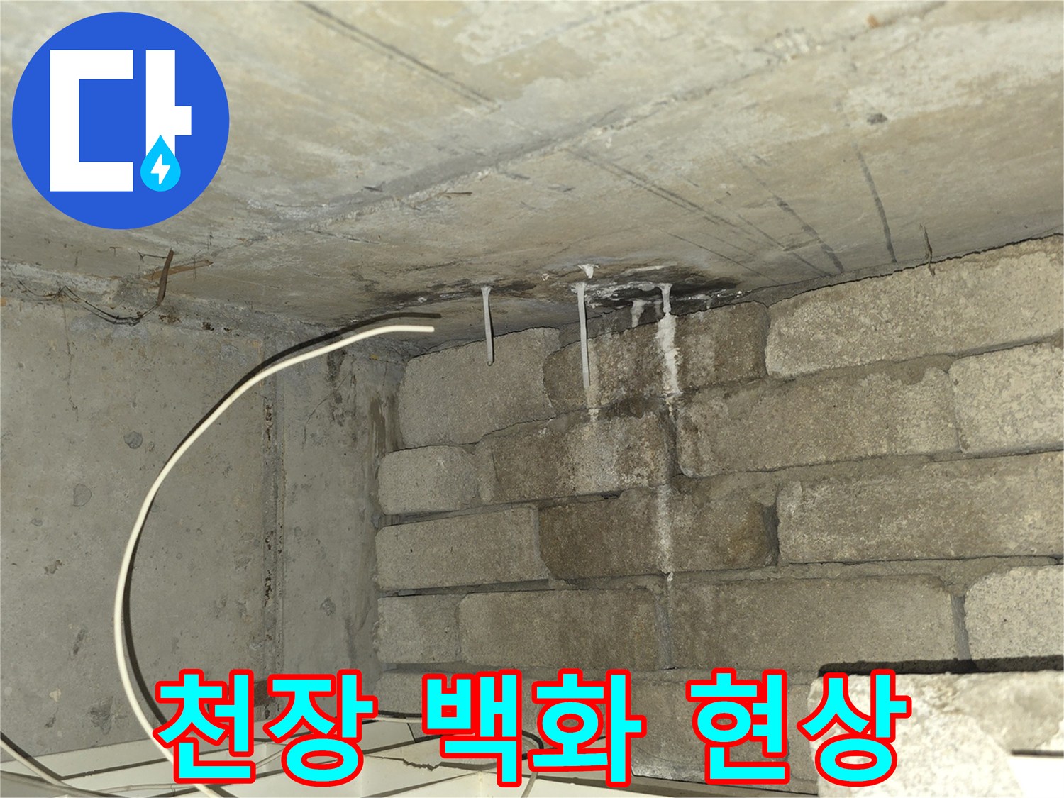 콘크리트 슬래브-백화현상이 발생한 천장 모습