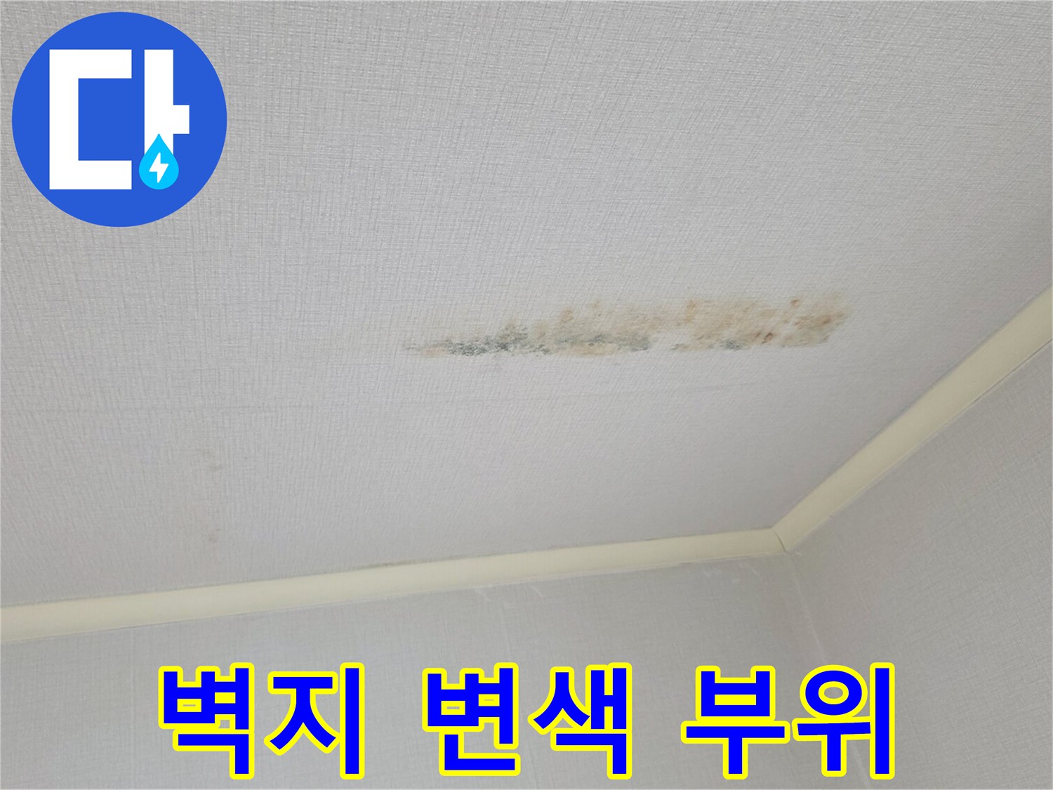 천장-벽면-중앙-누수-흔적-및-오염