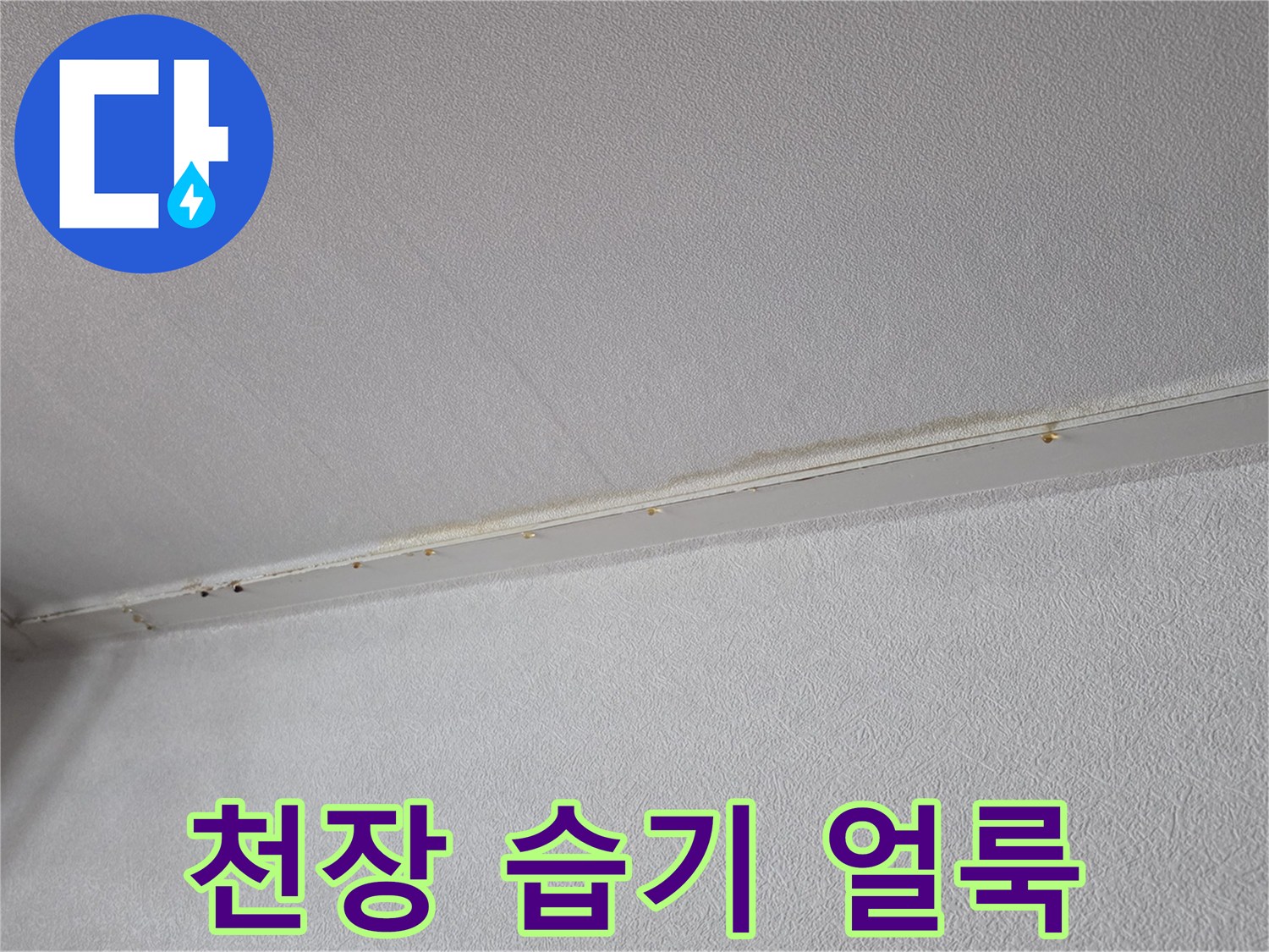 천장-몰딩-주변의-물샘-흔적