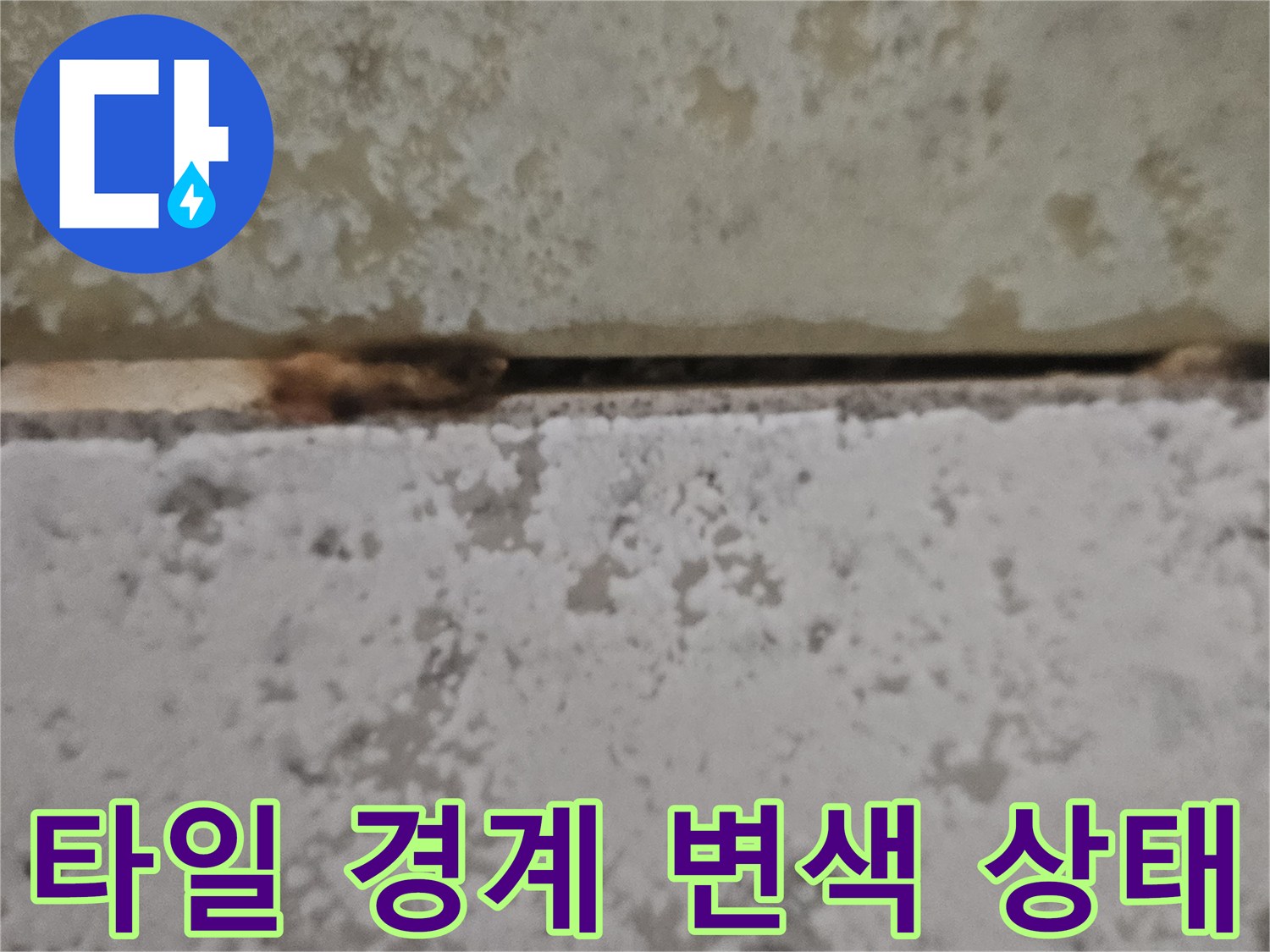 타일-접합부-오염-및-변색-상태-기록