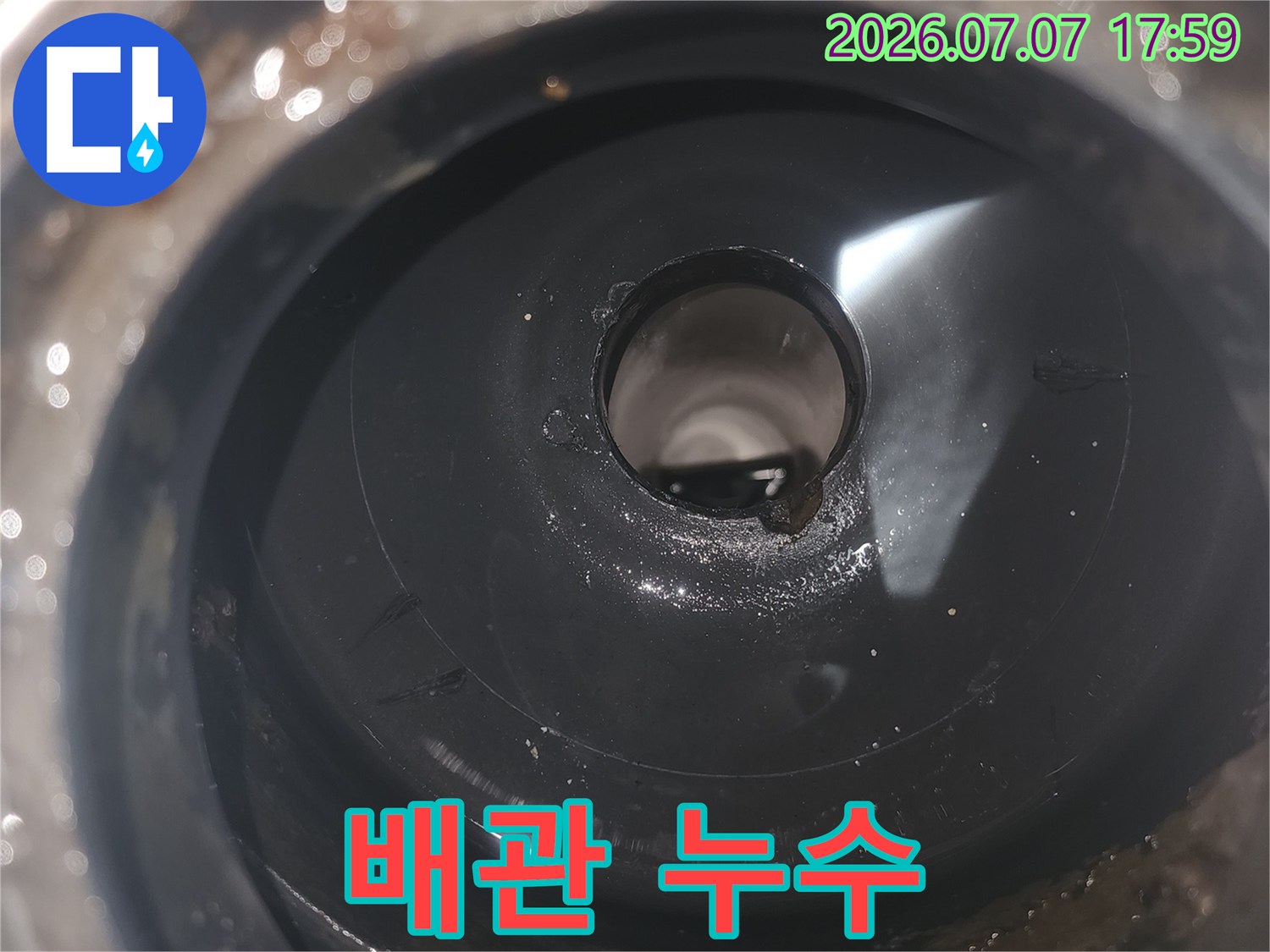 세탁실 유가 탈거 후 내부 하수 배출로 점검 장면