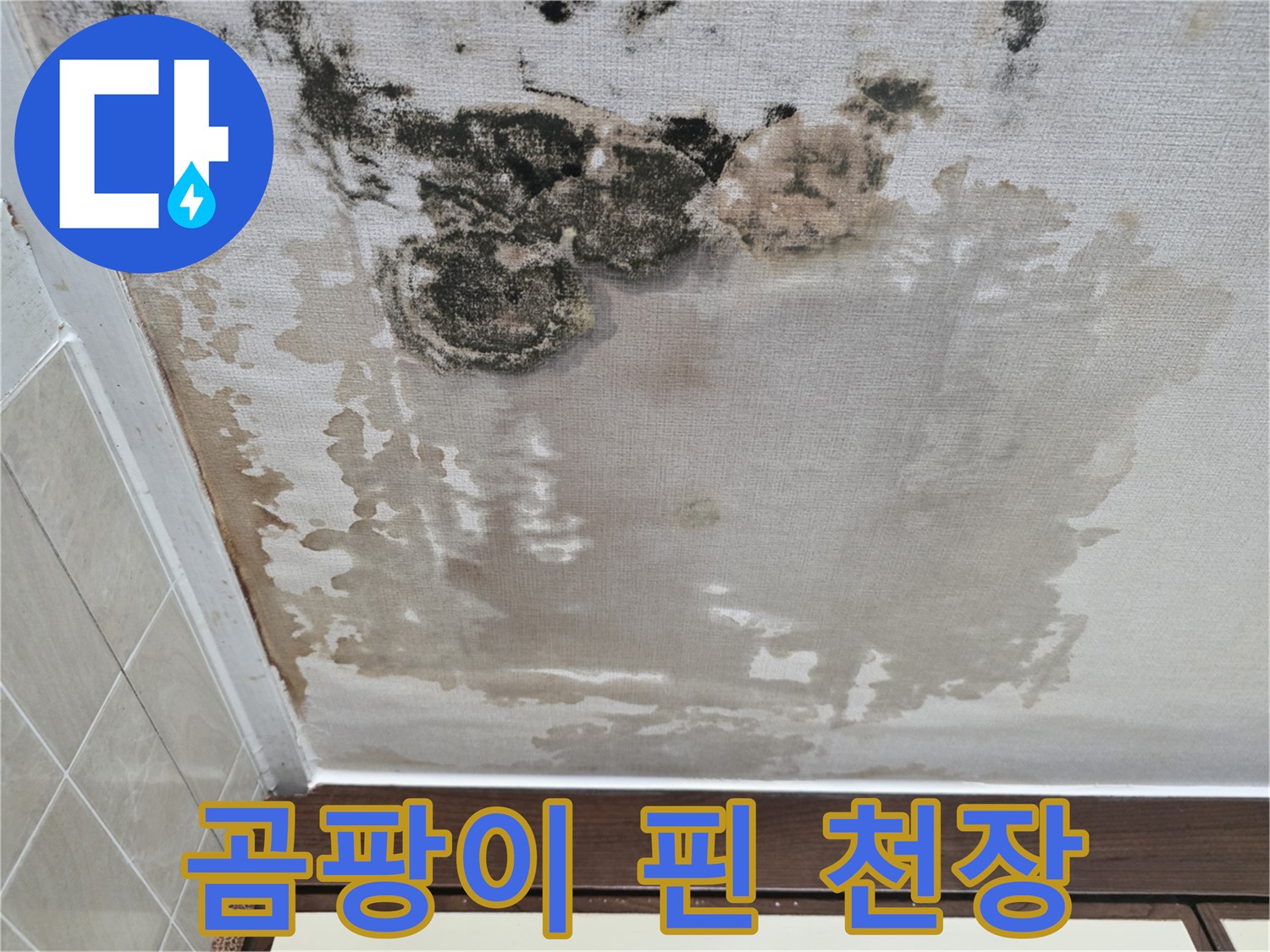 심하게-오염된-천장-벽지-클로즈업