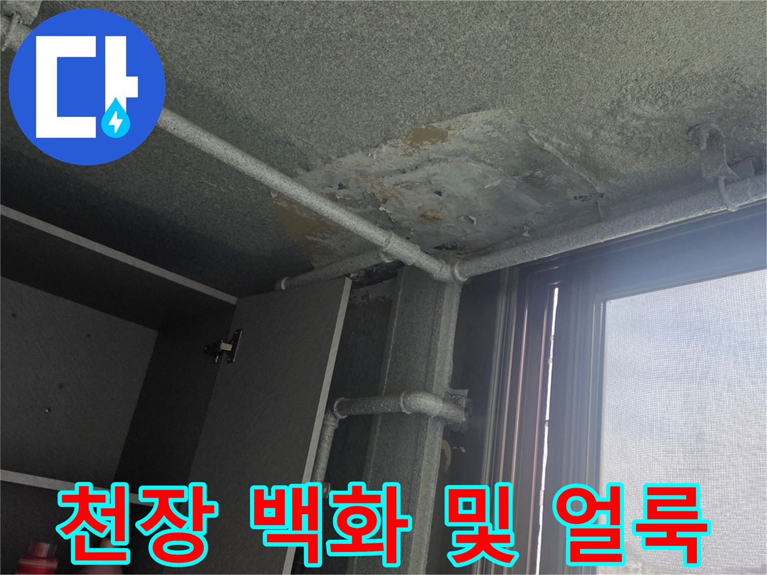 베란다-천장-콘크리트-백화-및-젖음-현상