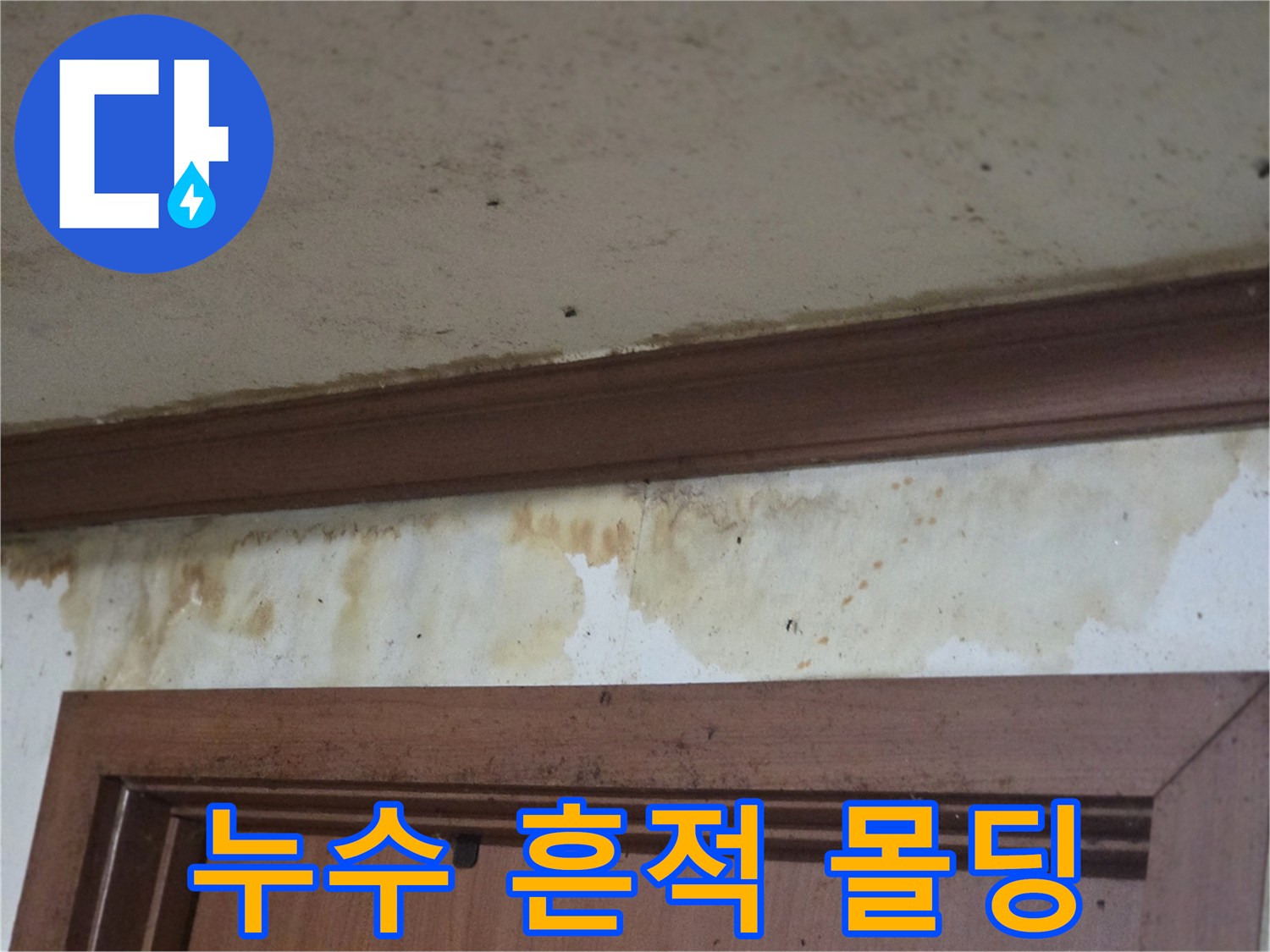 천장-몰딩-하단-벽지-물자국-확인