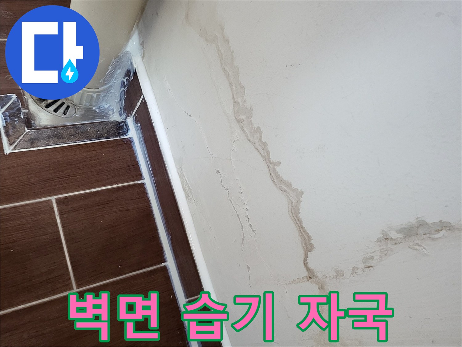 세탁실-벽면을_따라_발생한_습기_및_얼룩