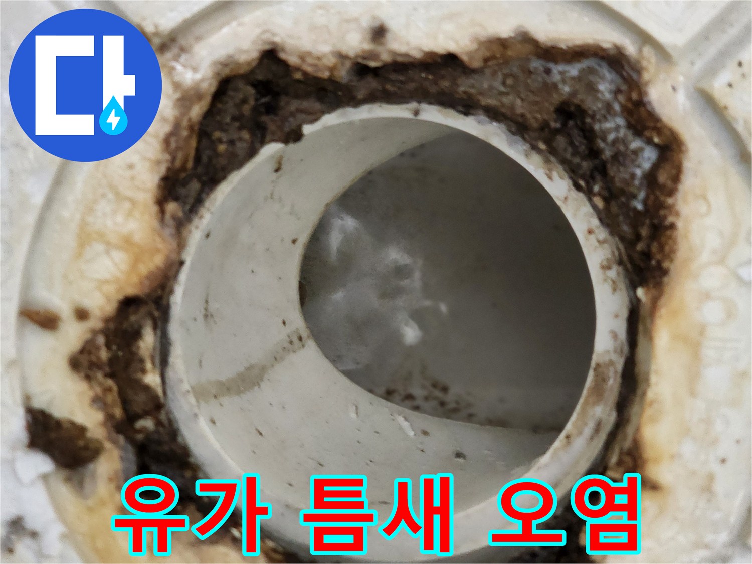 배수구 주변의 심한 변색과 이물질 퇴적