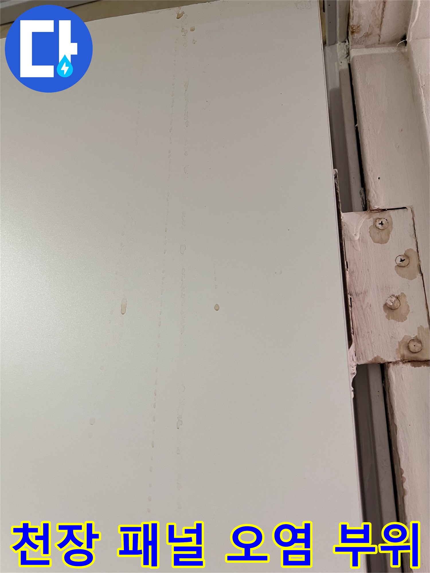 화장실 천장 패널에 남은 갈색 물때와 누수 흔적