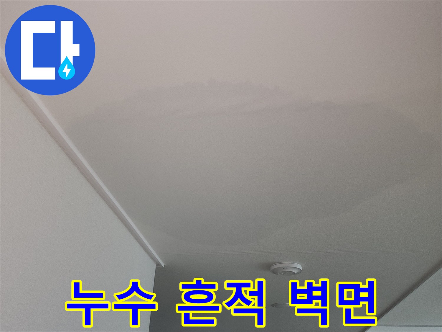 벽면-누수-흔적-확인-사진