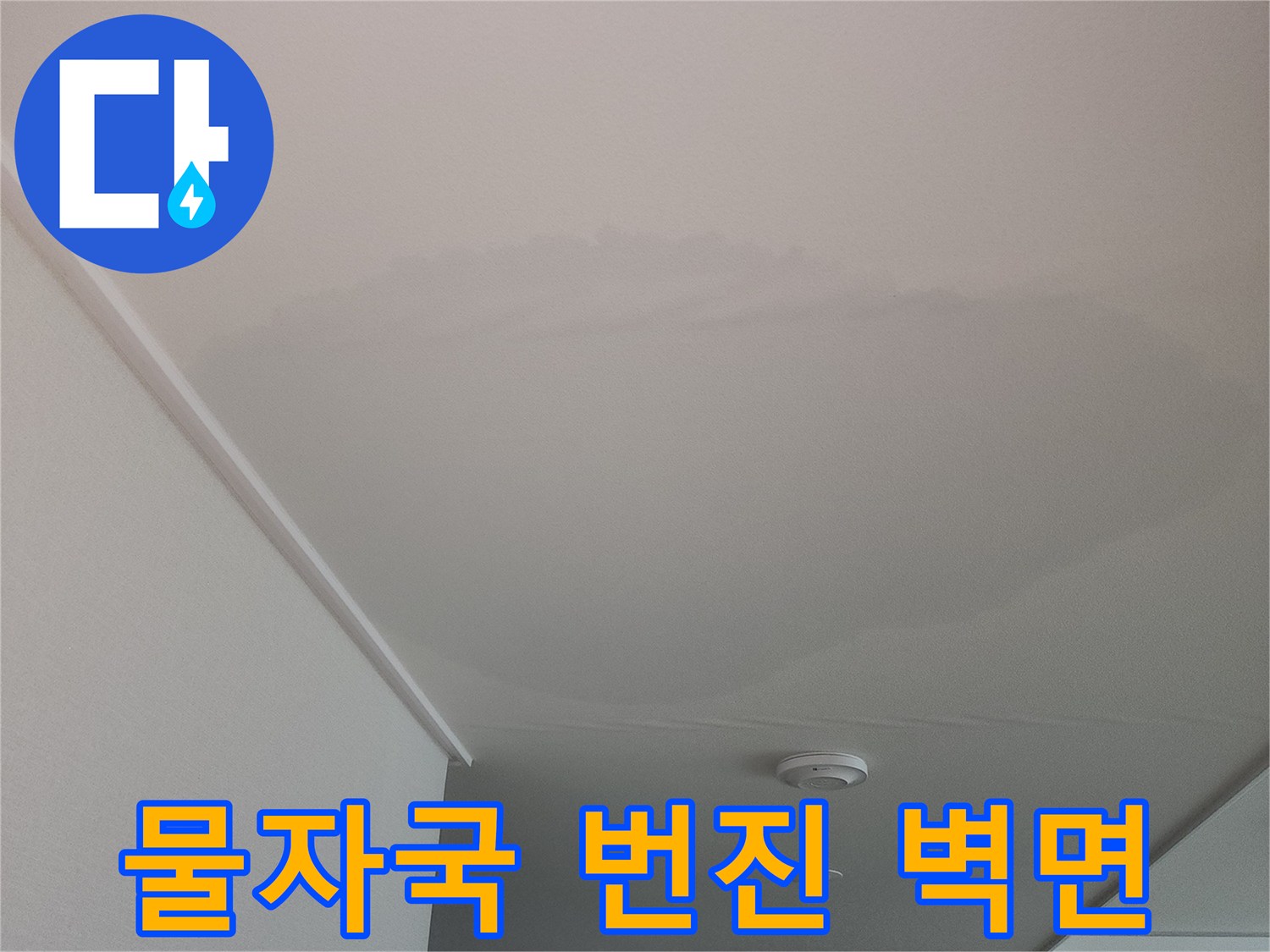 벽면에-번진-누수-물자국-현황