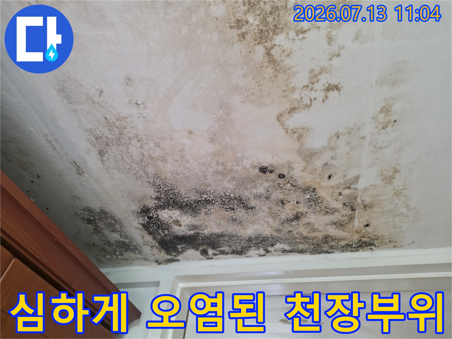 곰팡이와 수분으로 얼룩진 아파트 실내 천장면
