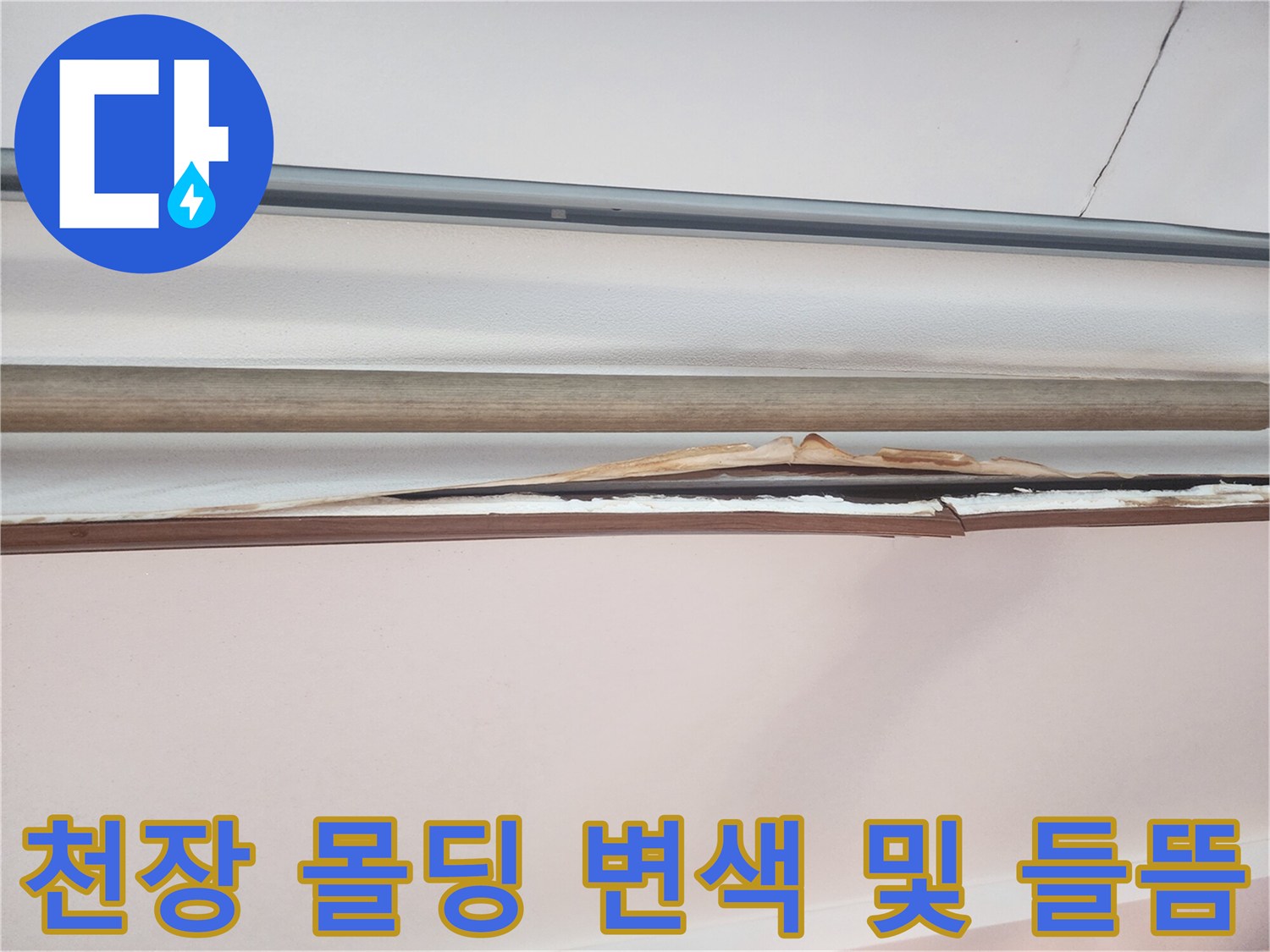 물기가-스며든-천장-몰딩-부근-상세-모습