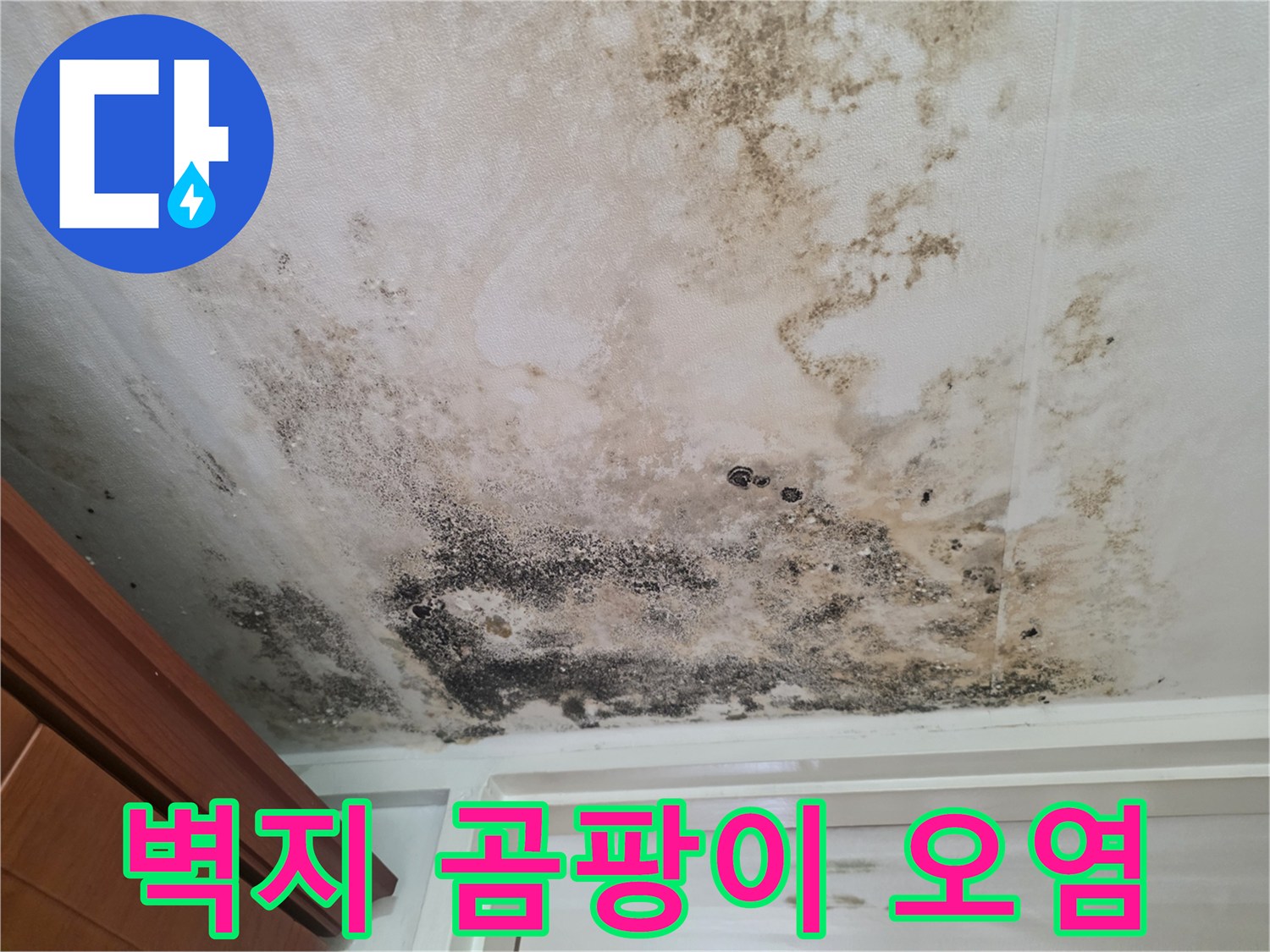 넓게-번져있는-천장의-검은색-곰팡이-패턴