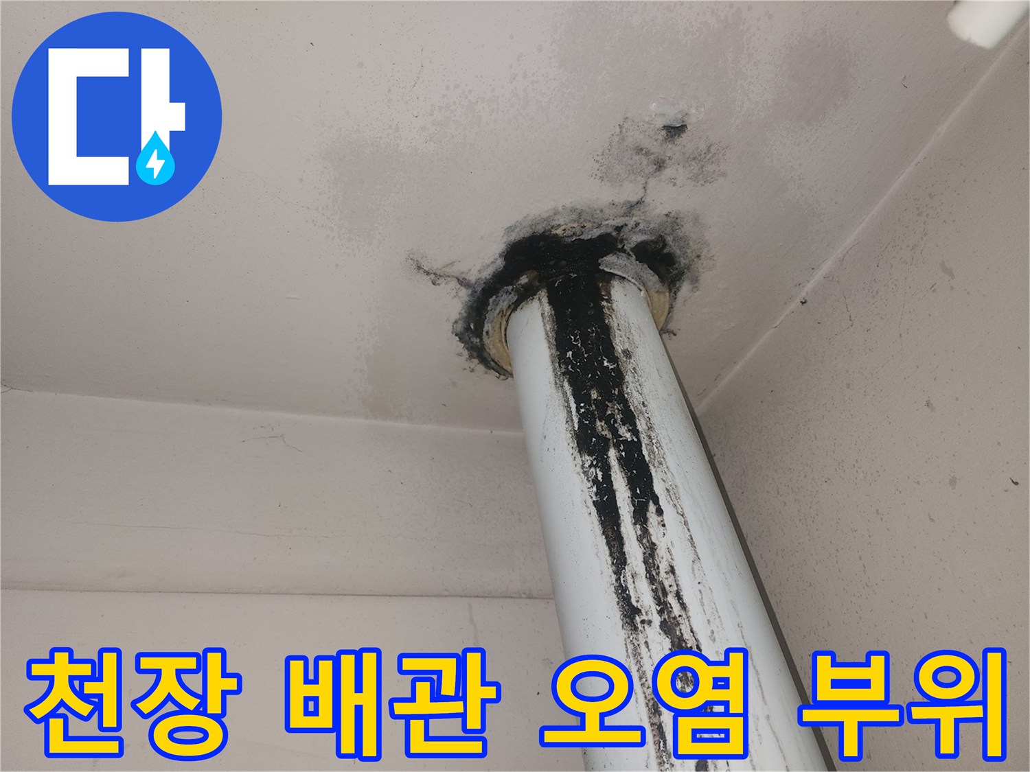 하얀색 수직 배관을 따라 번진 검은 곰팡이 얼룩
