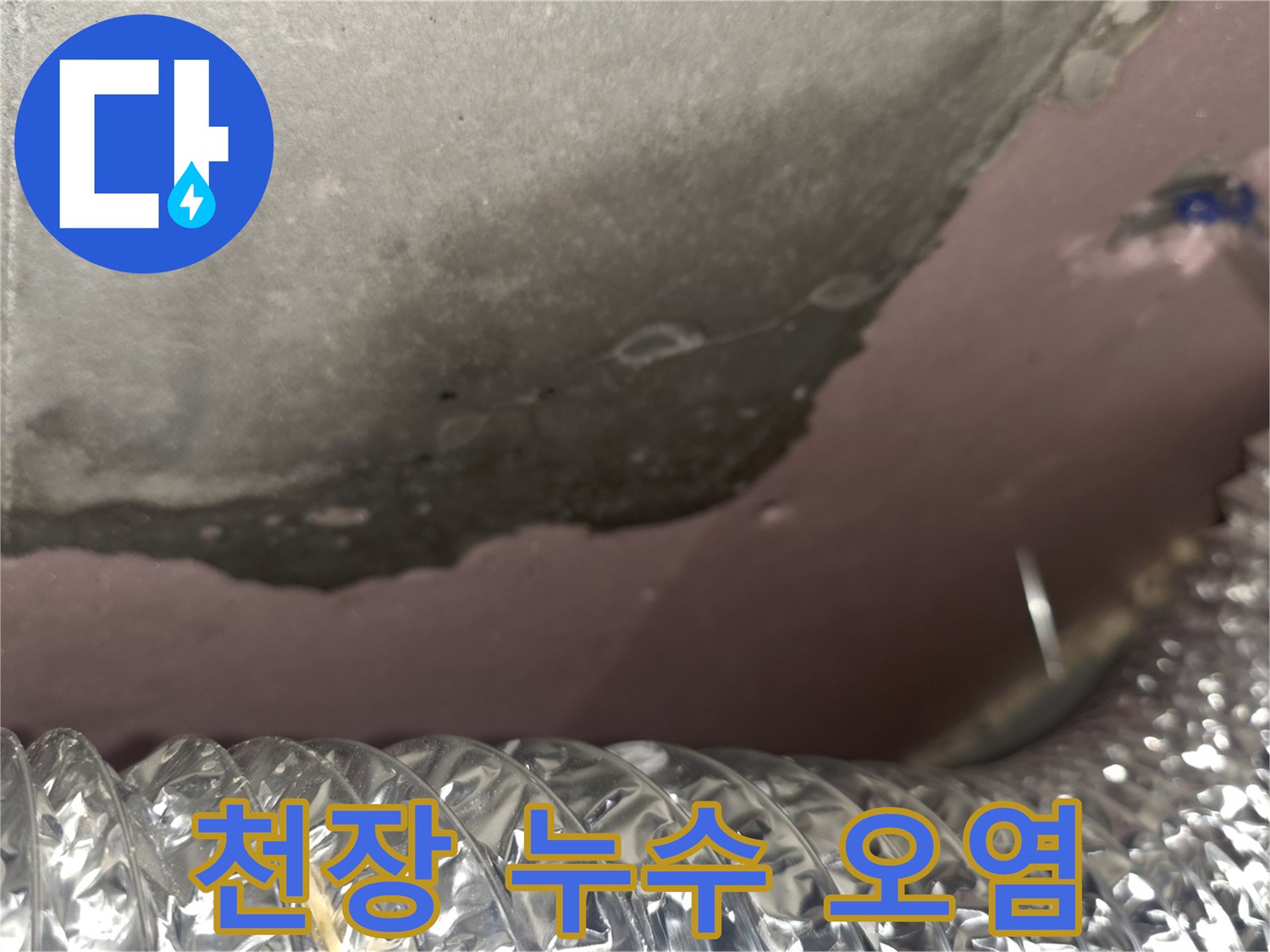 물샘으로 인해 변색된 슬라브와 단열재