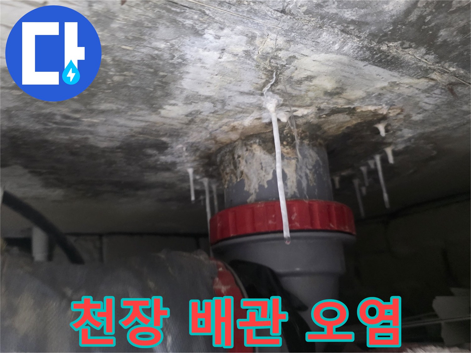 하얀 석회수가 맺혀 있는 천장 배수 파이프