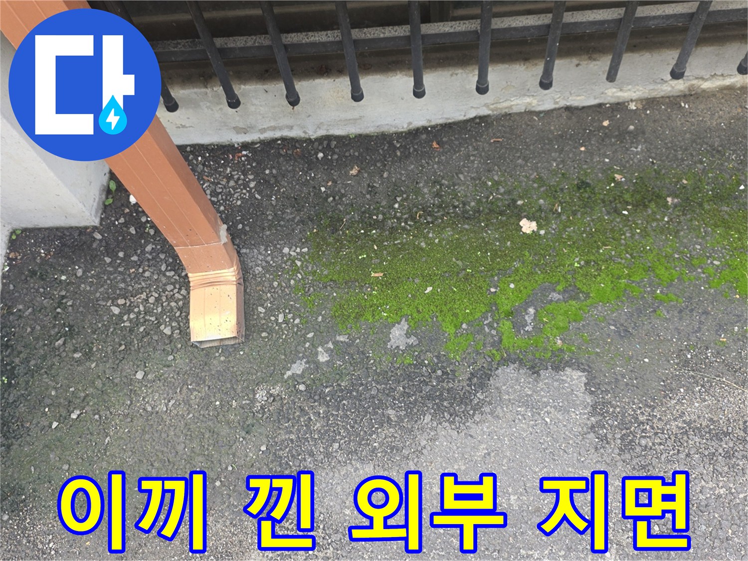 물-유입으로-인한-지표면-이끼-생성-현황