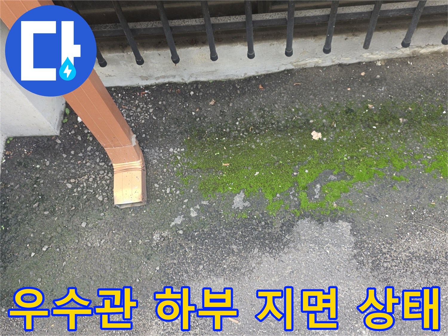 배수 불량-지면 이끼 발생 구간