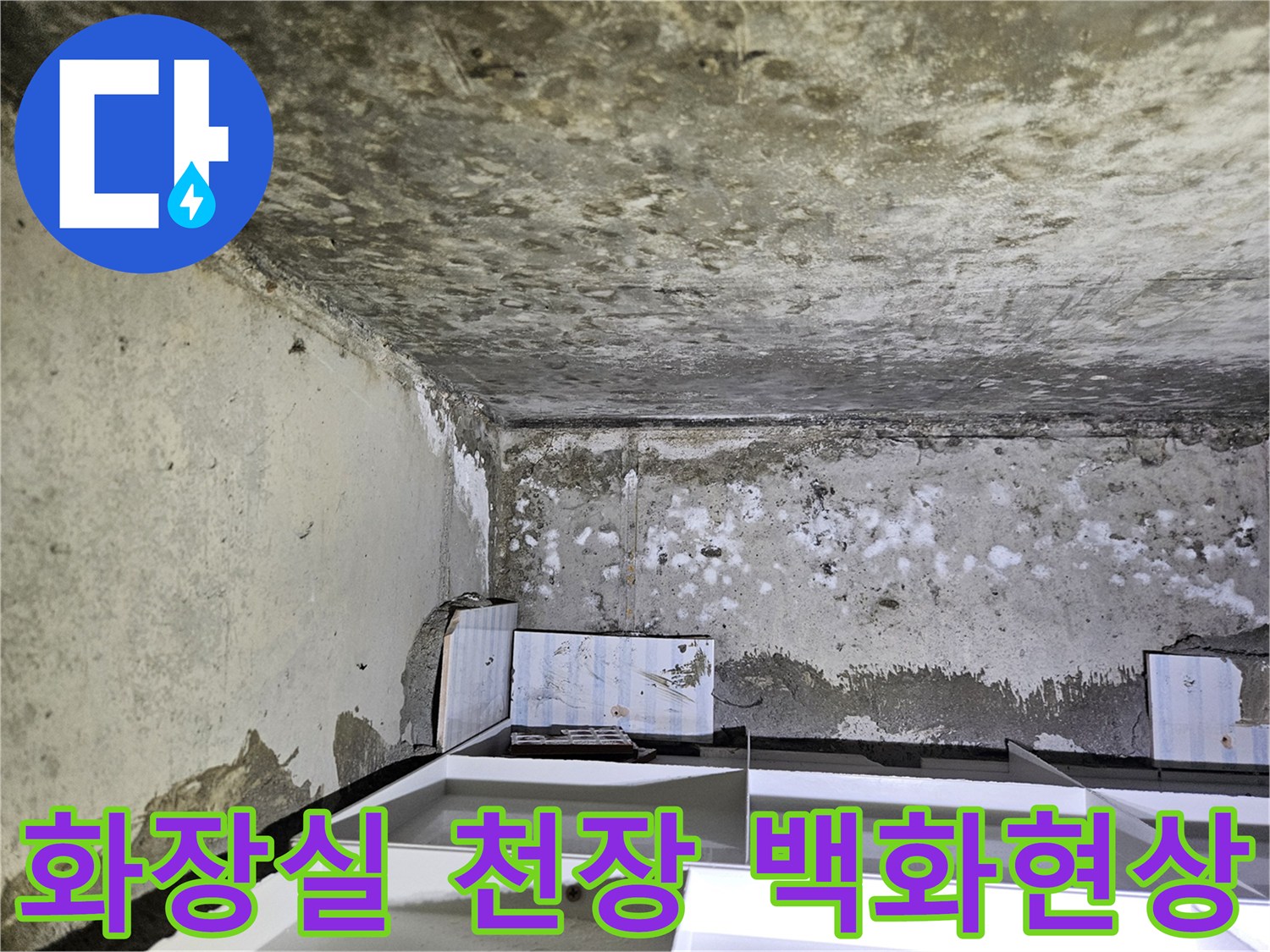 아래층 화장실 천장-백화와 젖은 흔적