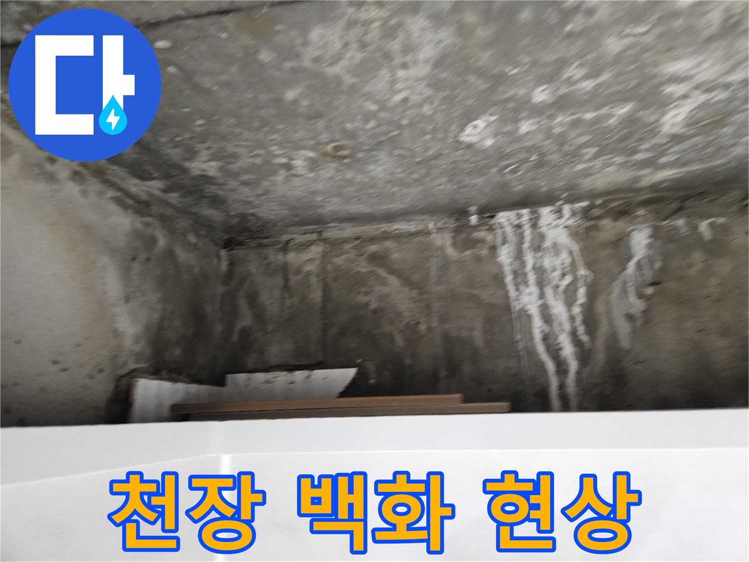 아파트-화장실-천장-백화현상-및-누수-흔적