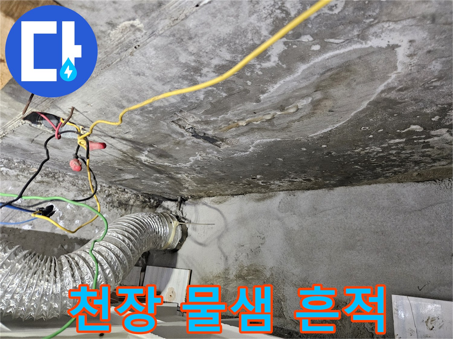 아파트 화장실 천장의 누수 흔적과 백화 현상