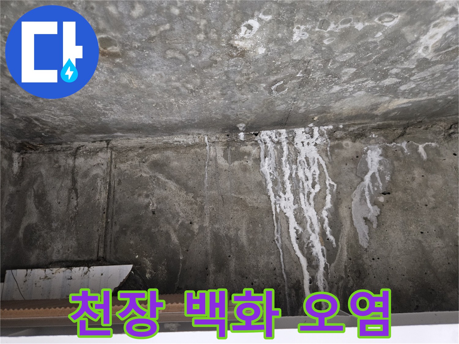 하얗게-변한-콘크리트-천장-의-백화 현상 부위