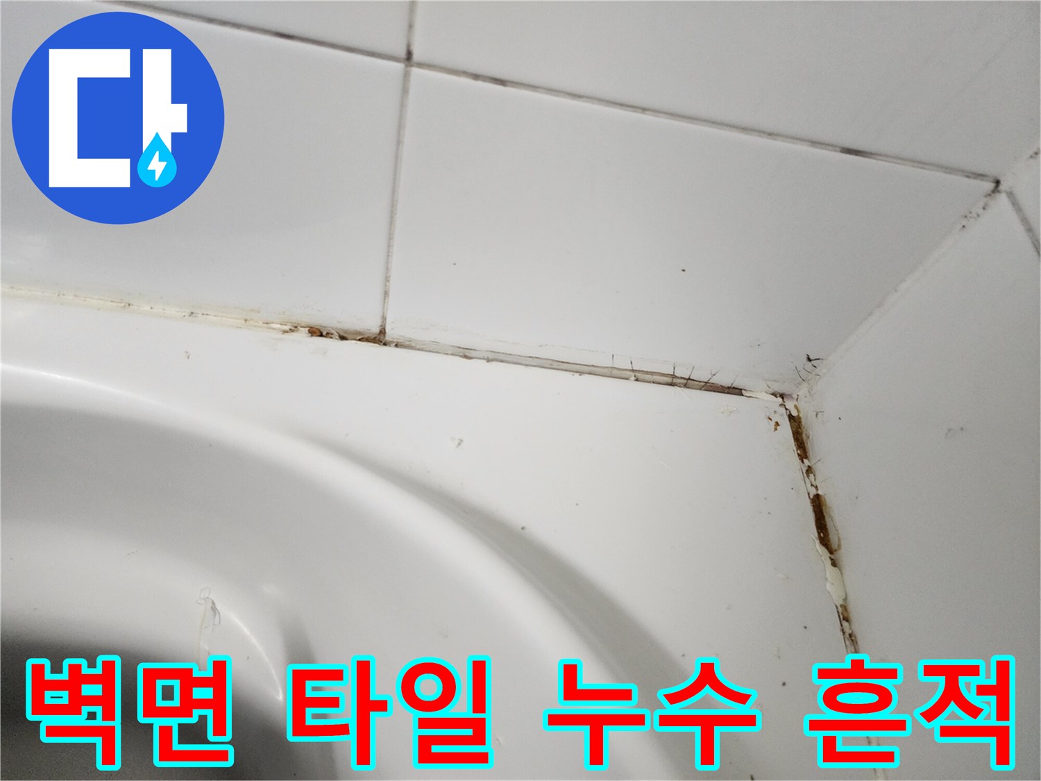 타일-사이-줄눈-부위의-갈색-오염-상태