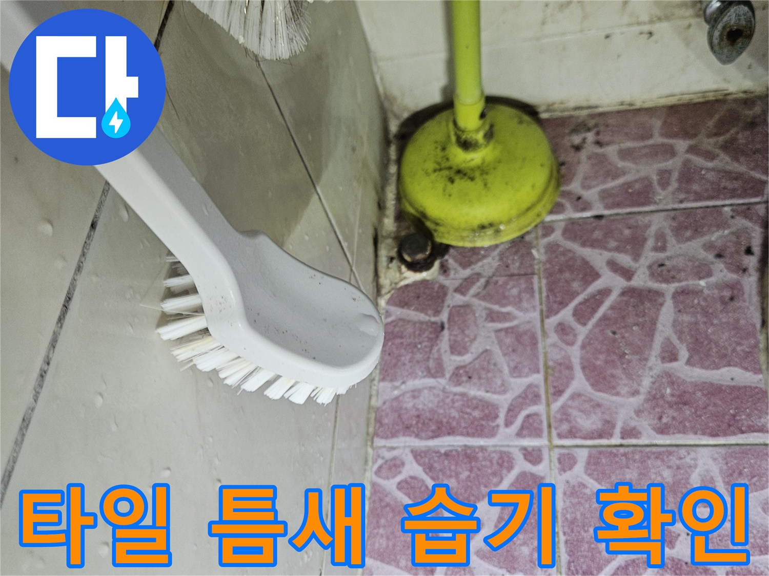 분홍색 바닥 타일-사이 물비침 현상