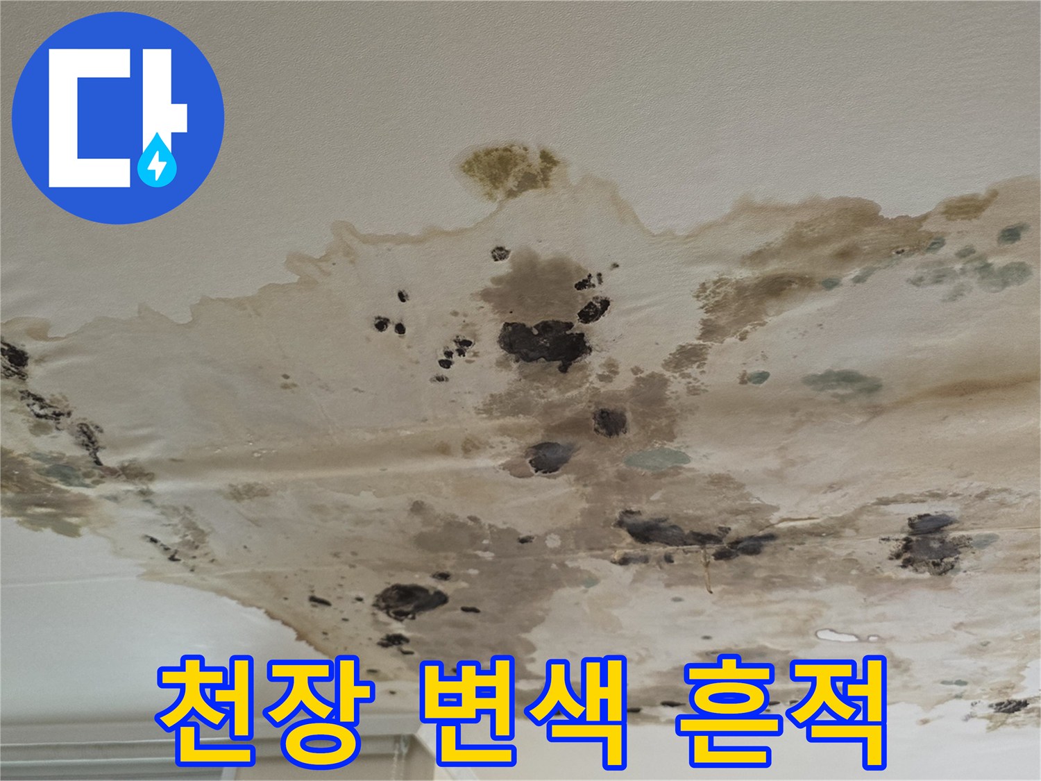 넓게-퍼진-천장-누수-얼룩과-곰팡이-상태