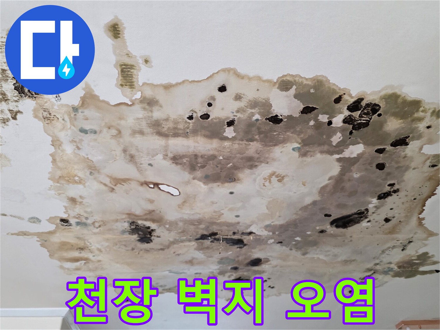 누수로-인해-변색된-천장-벽지-모습