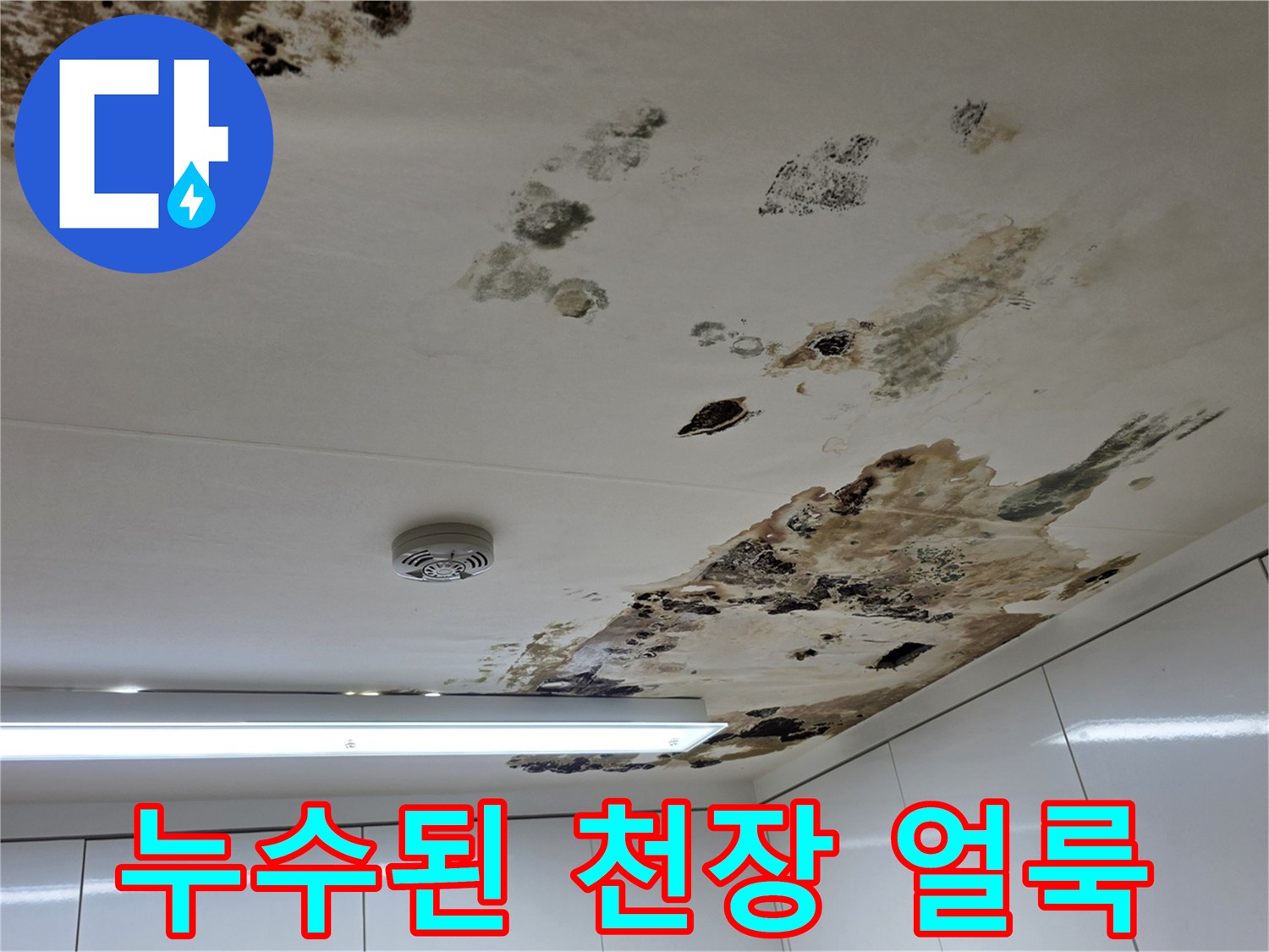 물샘으로 인해 변색된 천장 마감재 부위