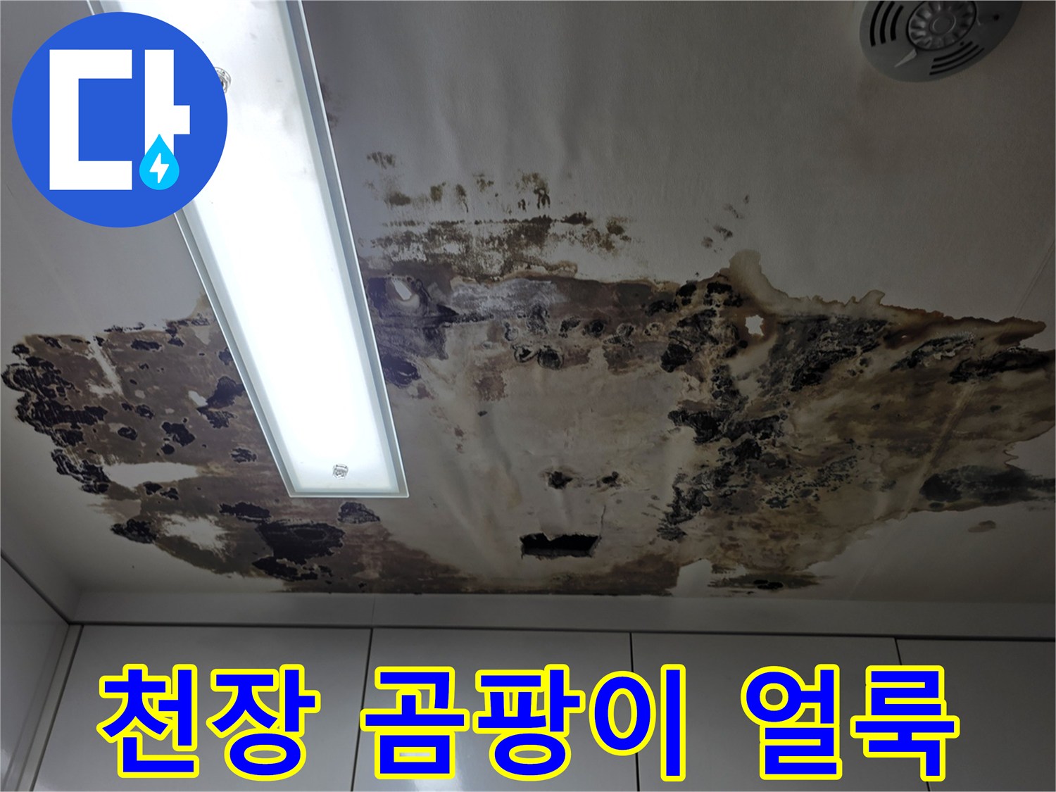 심각한-오염을-보이는-천장-패널