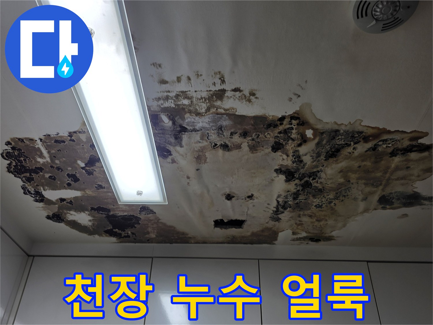 심하게-변색된-천장-마감재-상태