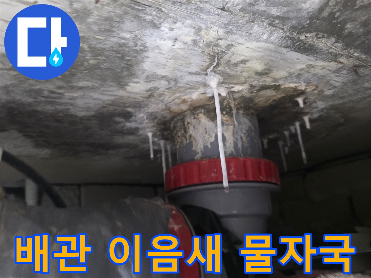 화장실-배관-연결부의-하얀-물때와-습기-상태