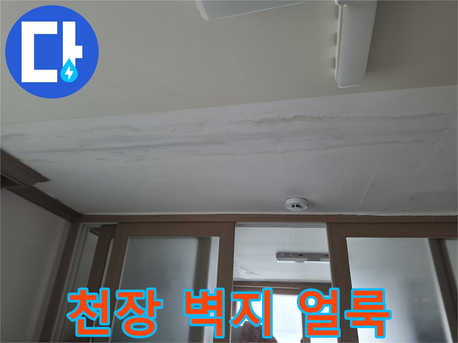 동대문구-아랫집-천장-벽지-변색-현황