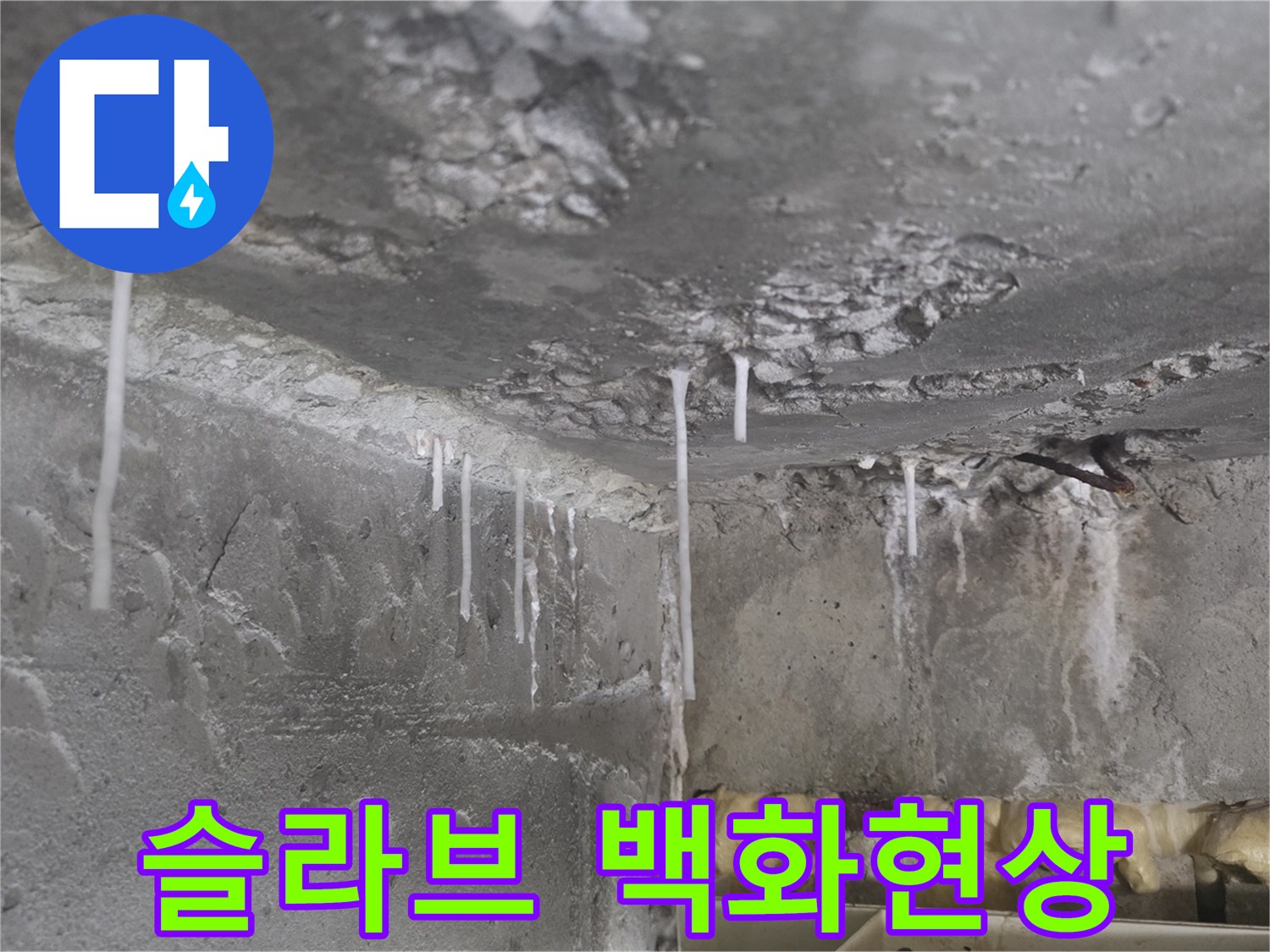 콘크리트-천장-면을-덮은-하얀색-백화물질