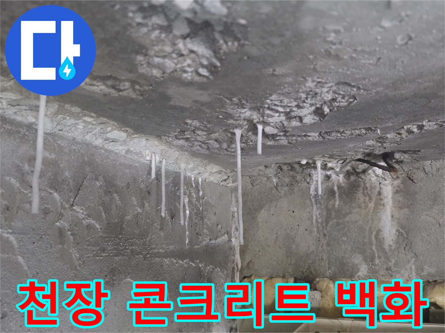 화장실 천장-석회물이 굳은-백화 현상 부위