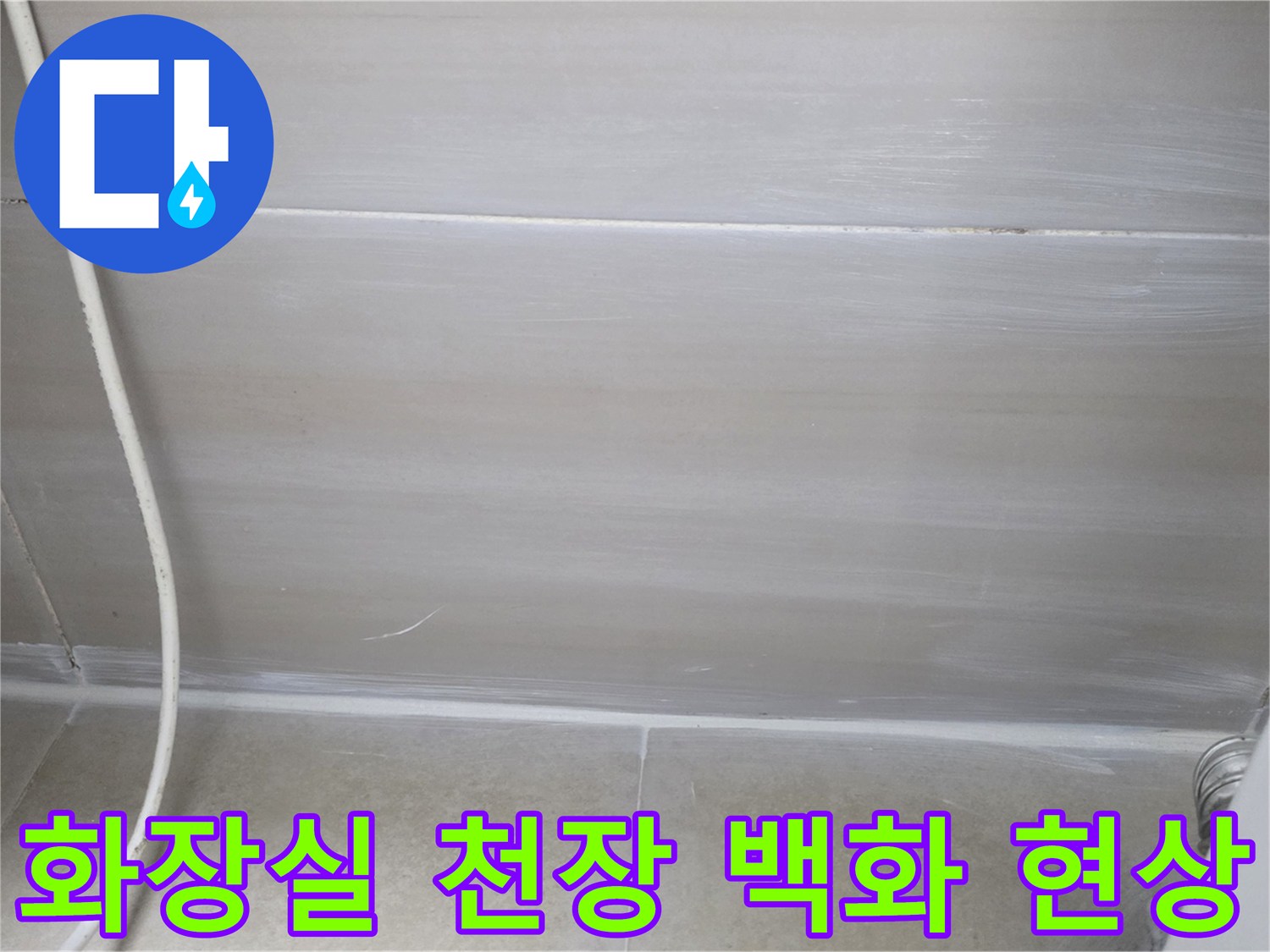 화장실-천장-슬라브의-백화현상-및-습기-상태