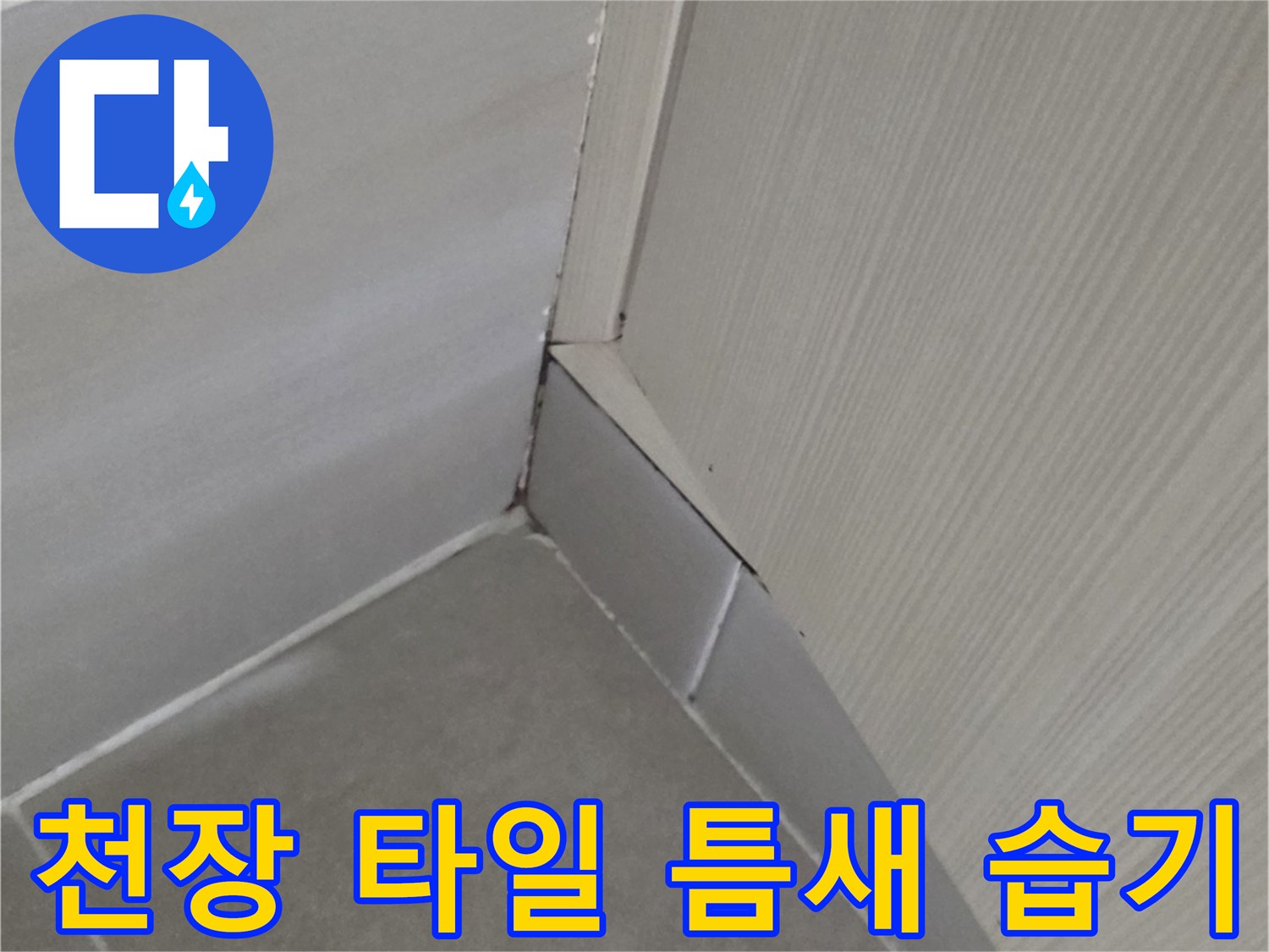 화장실-천장-타일-경계-습기-상태