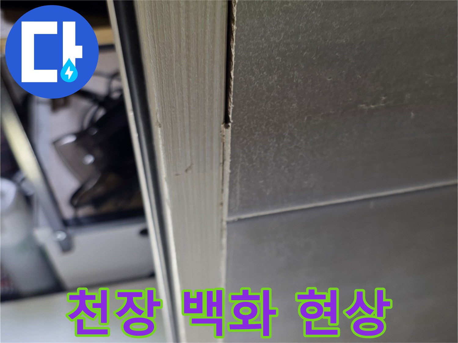 화장실-천장-타일-사이-백화-현상-관찰