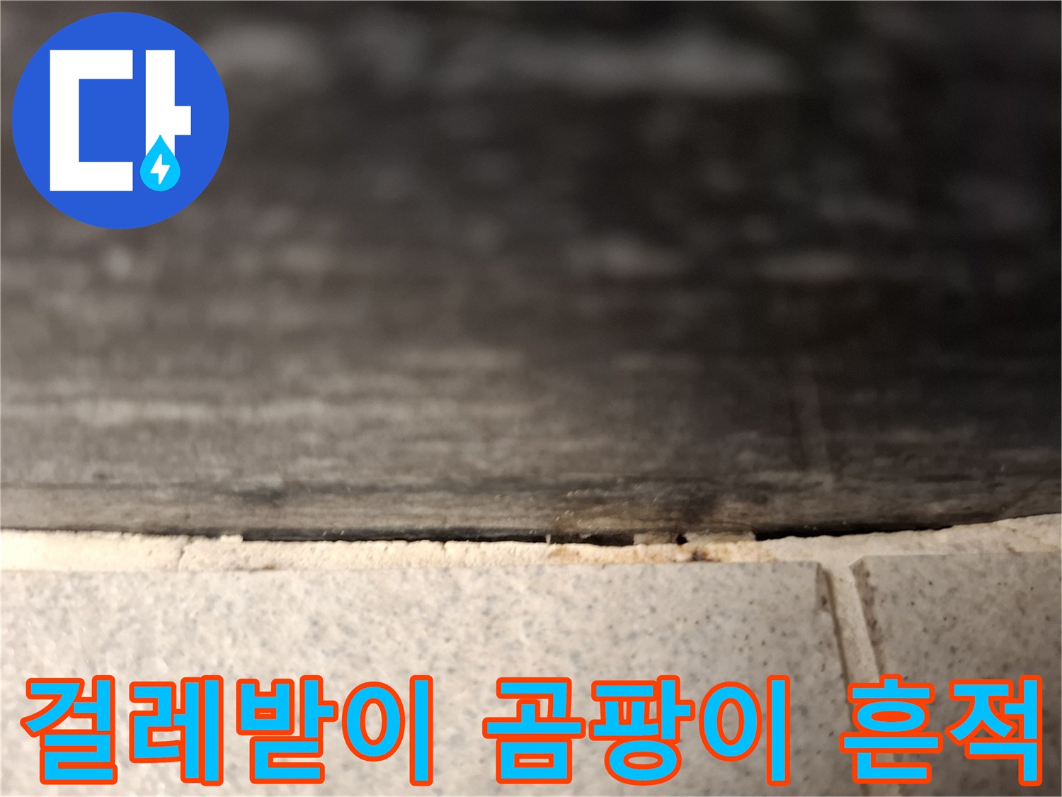 거실-걸레받이-하단-곰팡이-발생-상태