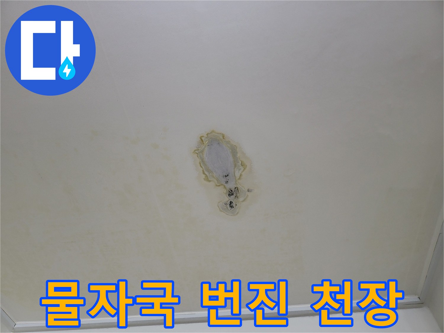 넓게-번져있는-천장-누수-흔적-사진